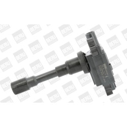 Ritė, uždegimas BorgWarner (BERU) ZSE181