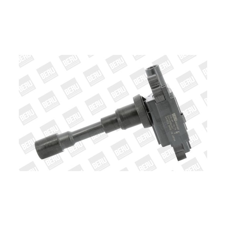 Ritė, uždegimas BorgWarner (BERU) ZSE181