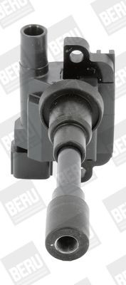 Ritė, uždegimas BorgWarner (BERU) ZSE181