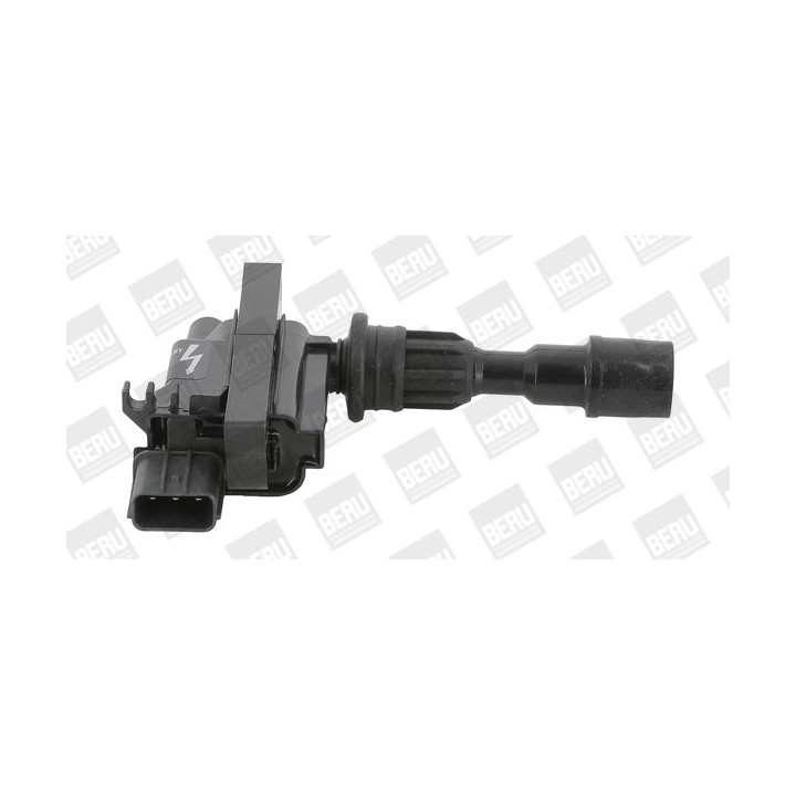 Ritė, uždegimas BorgWarner (BERU) ZSE190