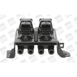 Ritė, uždegimas BorgWarner (BERU) ZSE195