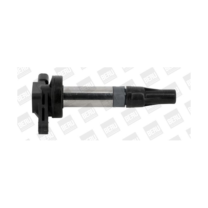 Ritė, uždegimas BorgWarner (BERU) ZSE196