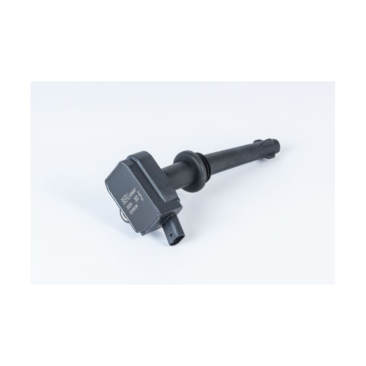 Ritė, uždegimas BorgWarner (BERU) ZSE204