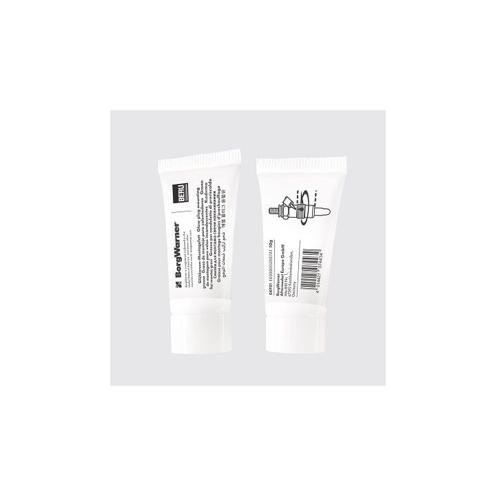 Tepalas BorgWarner (BERU) GKF01