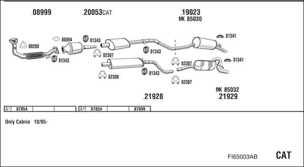 Išmetimo sistema WALKER FI65003AB