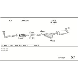 Išmetimo sistema WALKER FI71009A