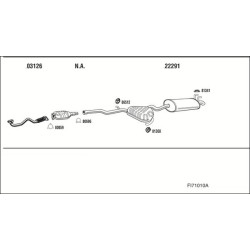 Išmetimo sistema WALKER FI71010A