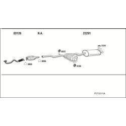 Išmetimo sistema WALKER FI71011A