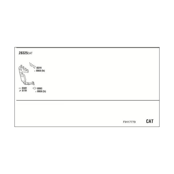Išmetimo sistema WALKER FIH17779