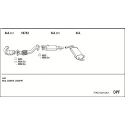 Išmetimo sistema WALKER FIK010210AA