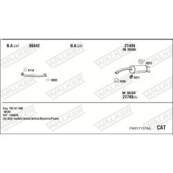 Išmetimo sistema WALKER FIK017137AA