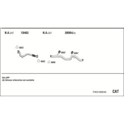 Išmetimo sistema WALKER FIK018903A