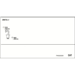 Išmetimo sistema WALKER FIK023229
