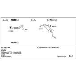 Išmetimo sistema WALKER FIK030326BA