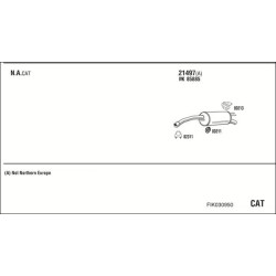 Išmetimo sistema WALKER FIK030950