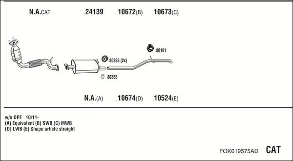 Išmetimo sistema WALKER FOK019575AD