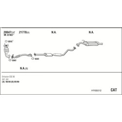 Išmetimo sistema WALKER HY65012