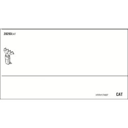 Išmetimo sistema WALKER HYH17497