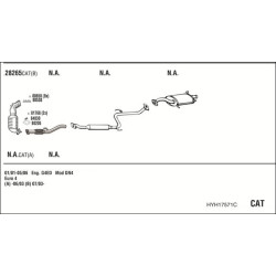 Išmetimo sistema WALKER HYH17571C
