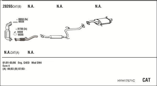 Išmetimo sistema WALKER HYH17571C