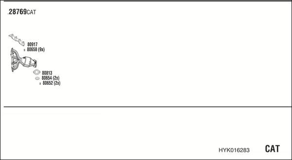 Išmetimo sistema WALKER HYK016283