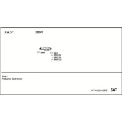 Išmetimo sistema WALKER HYK025449BB