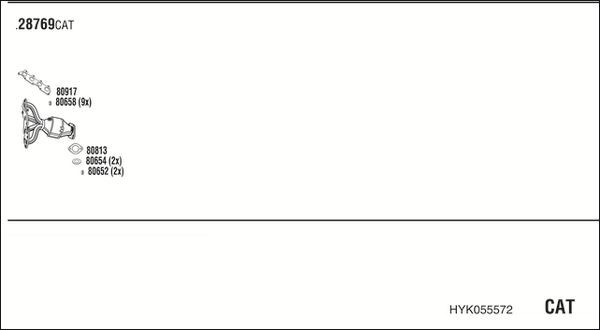 Išmetimo sistema WALKER HYK055572