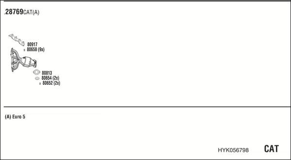 Išmetimo sistema WALKER HYK056798