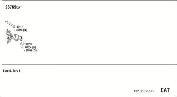 Išmetimo sistema WALKER HYK056799B