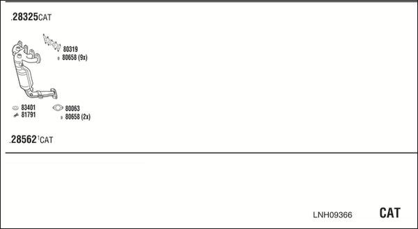 Išmetimo sistema WALKER LNH09366