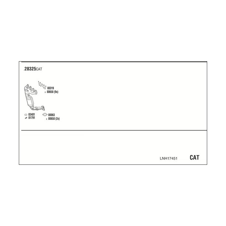 Išmetimo sistema WALKER LNH17451