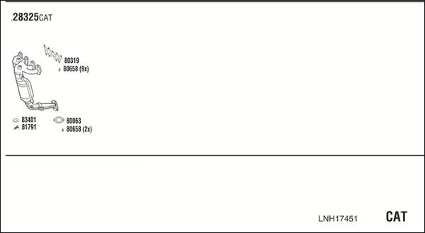 Išmetimo sistema WALKER LNH17451