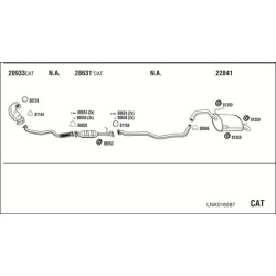 Išmetimo sistema WALKER LNK016587
