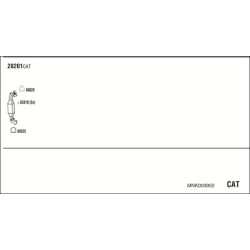 Išmetimo sistema WALKER MNK003952