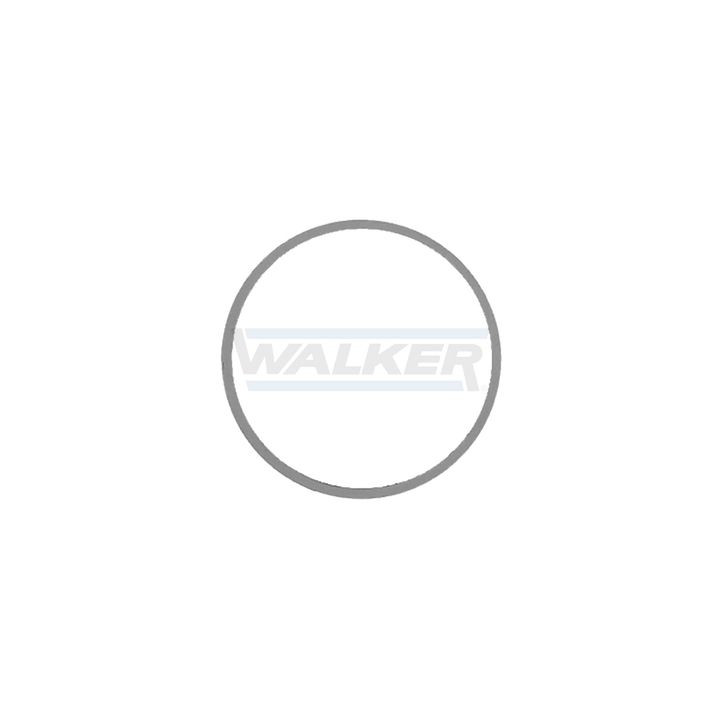 Tarpiklis, išleidimo kolektorius WALKER 80314