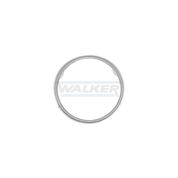 Tarpiklis, išleidimo kolektorius WALKER 80754