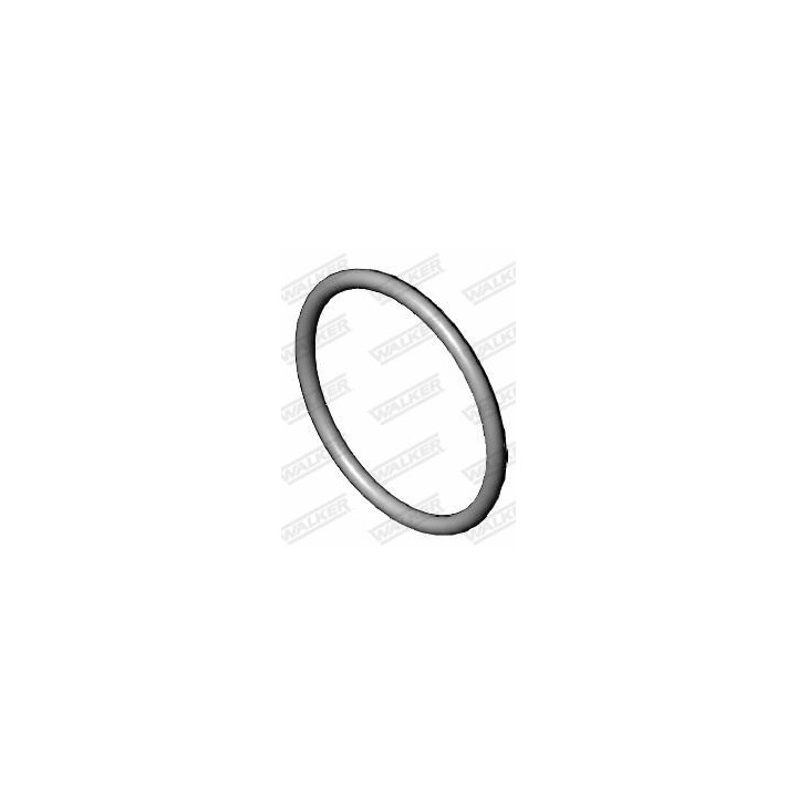 Tarpiklis, išleidimo kolektorius WALKER 82168