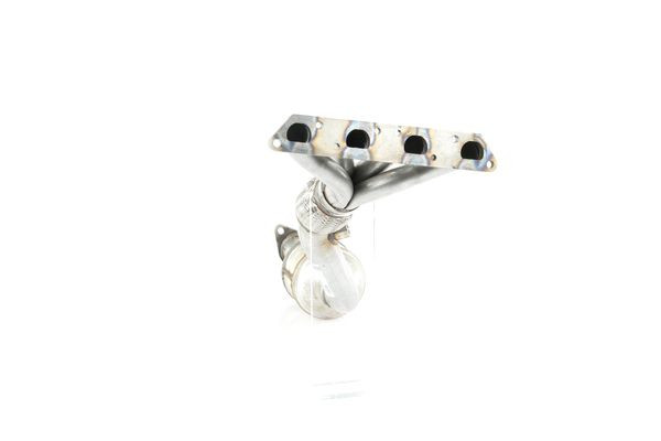 Katalizatoriaus keitiklis WALKER 20728