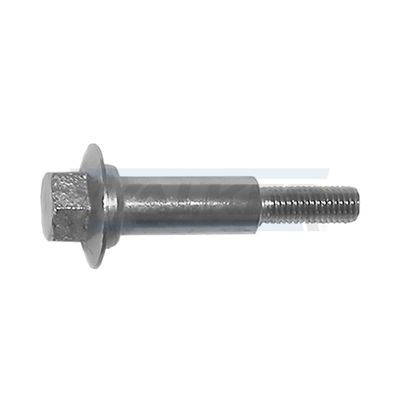 Varžtas, išmetimo sistema WALKER 80573