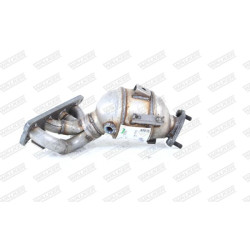 Pirminis katalizatorius WALKER 28769