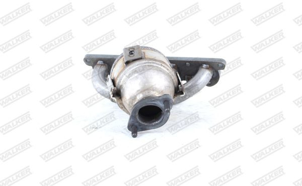 Pirminis katalizatorius WALKER 28769