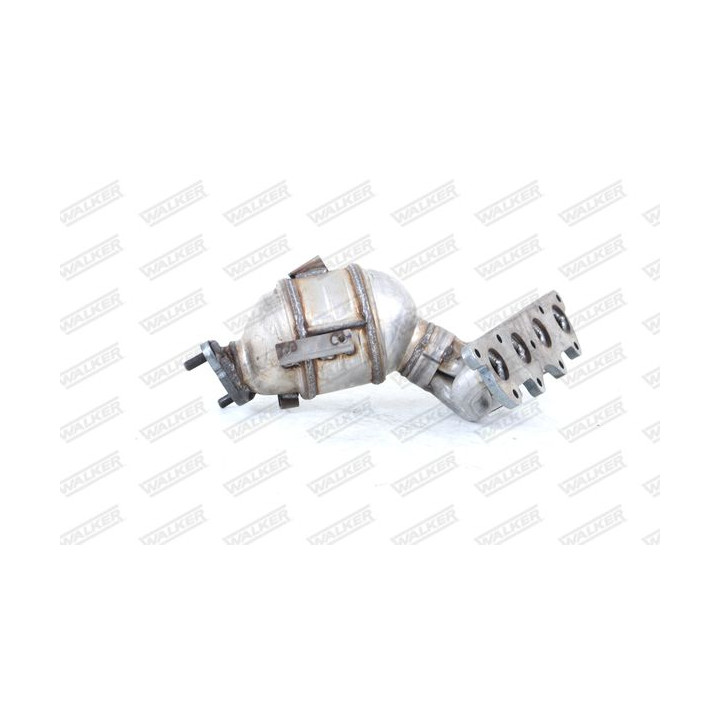 Pirminis katalizatorius WALKER 28769