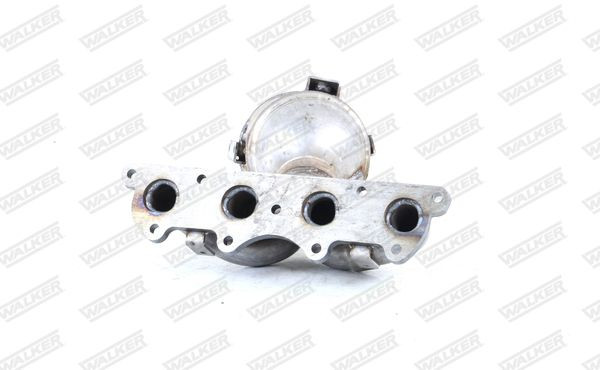 Pirminis katalizatorius WALKER 28769