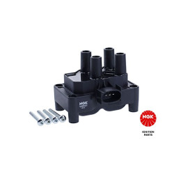 Ritė, uždegimas NGK 48001