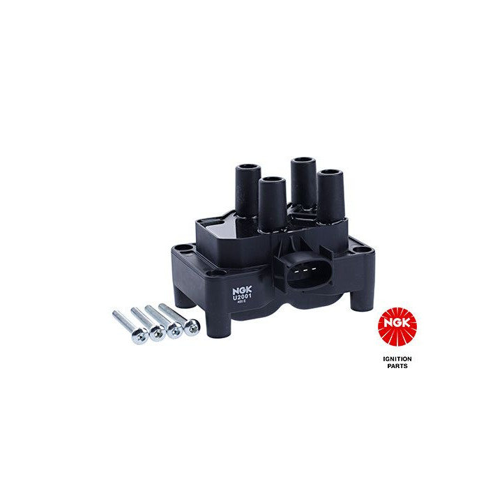 Ritė, uždegimas NGK 48001