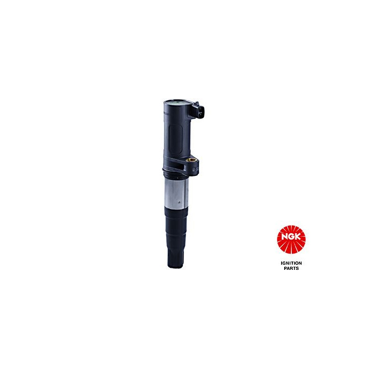 Ritė, uždegimas NGK 48002