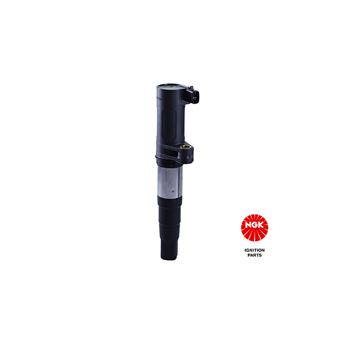 Ritė, uždegimas NGK 48002