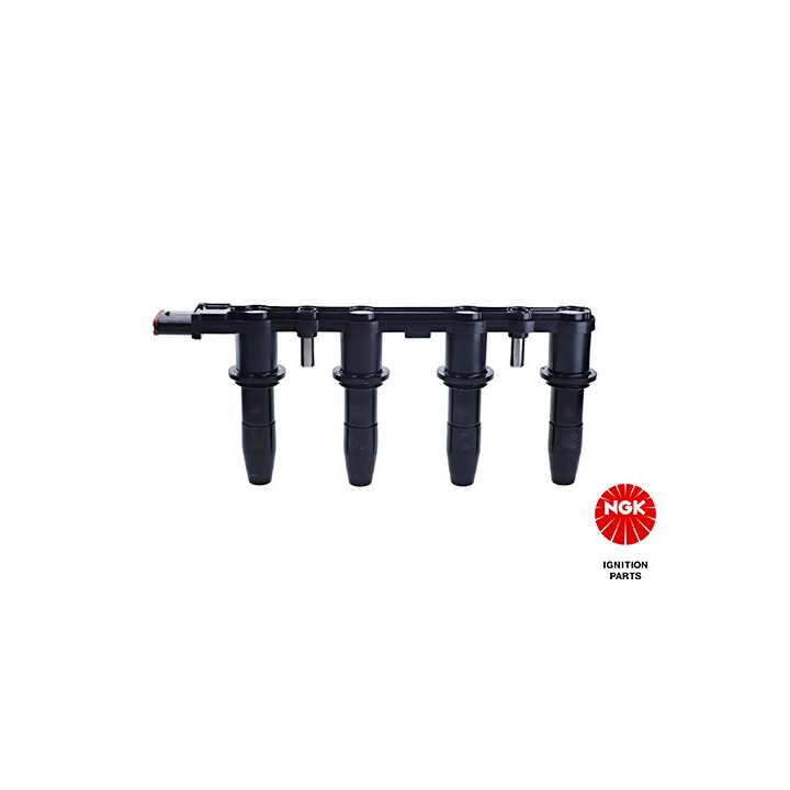 Ritė, uždegimas NGK 48004