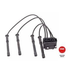 Ritė, uždegimas NGK 48007