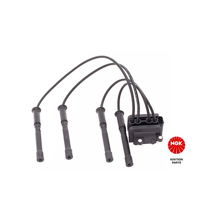 Ritė, uždegimas NGK 48007